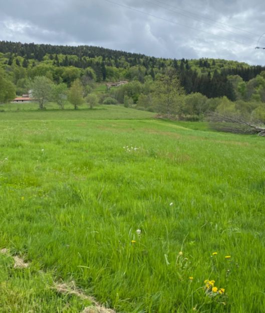 Image du modèle de maison Capture d'écran 2026-01-26 115938