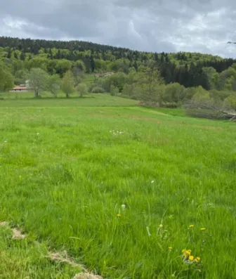 Image du modèle de maison Capture d'écran 2026-01-26 115938