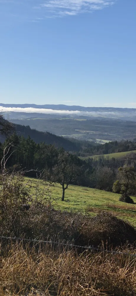 Image du modèle de maison 20260129_101102