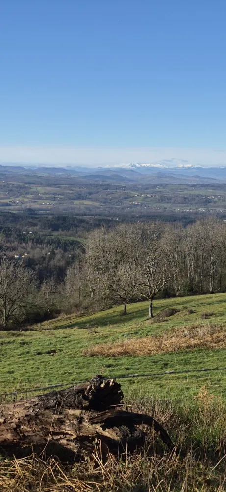 Image du modèle de maison 20260129_101059