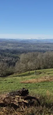 Image du modèle de maison 20260129_101059