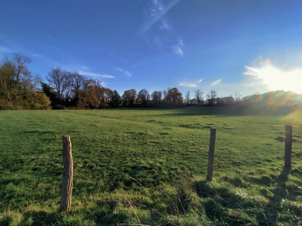 Image du modèle de maison lapiaura6