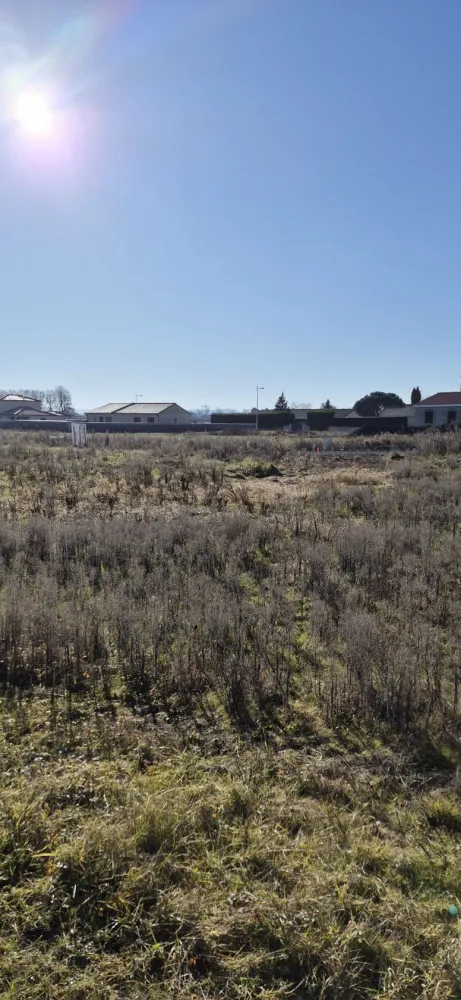 Image du modèle de maison 20260129_110547