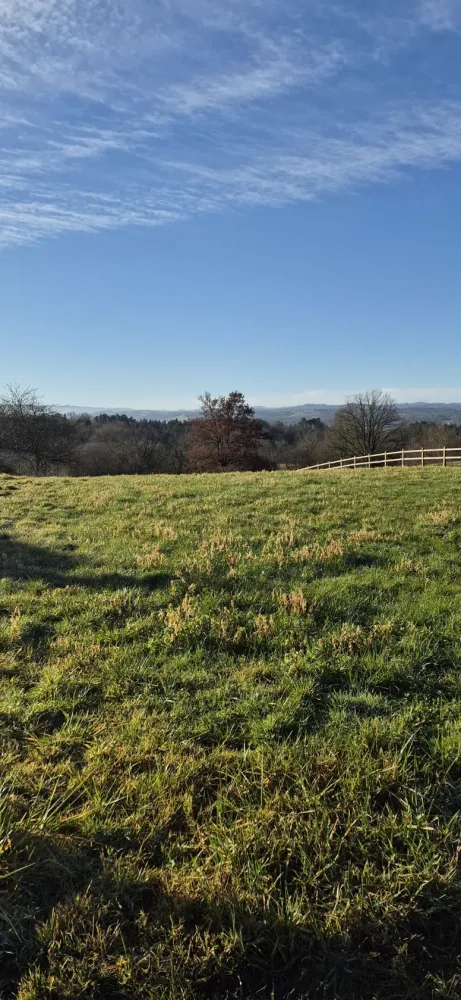 Image du modèle de maison 20260129_095958