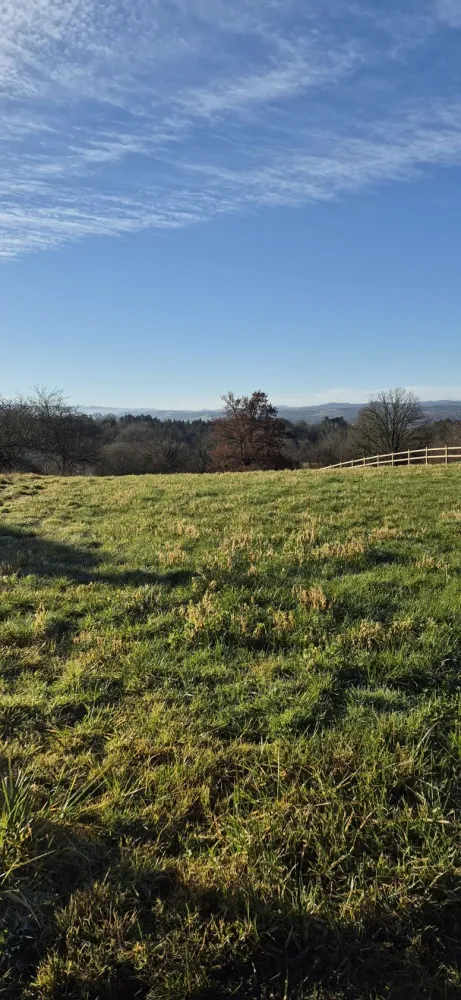 Image du modèle de maison 20260129_100002