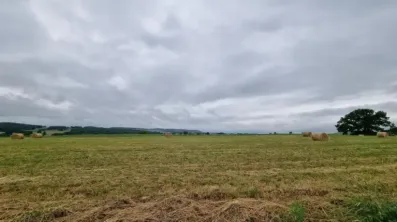 Image du modèle de maison g