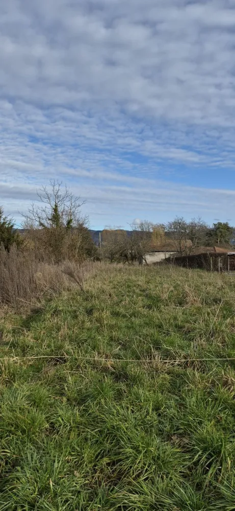 Image du modèle de maison 20260129_153340