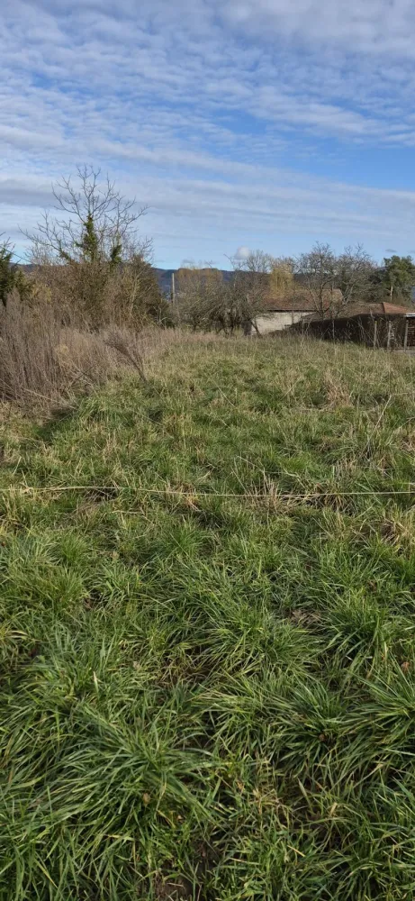 Image du modèle de maison 20260129_153337