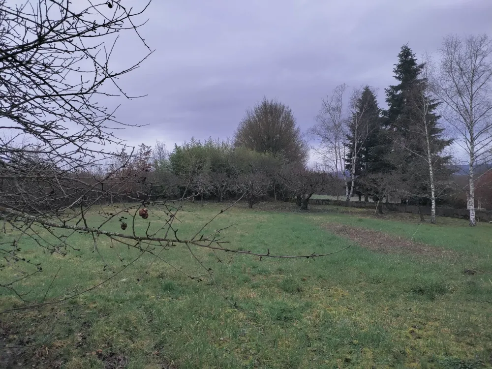 Image du modèle de maison 1000022001