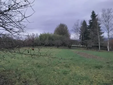 Image du modèle de maison 1000022001