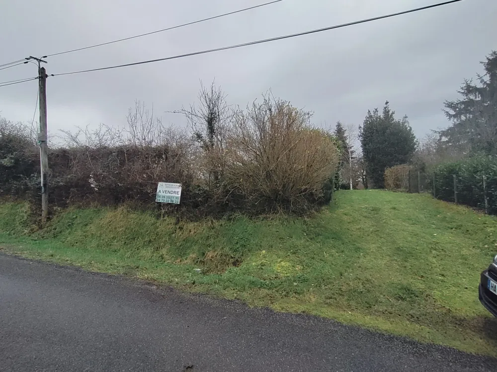 Image du modèle de maison 1000022003