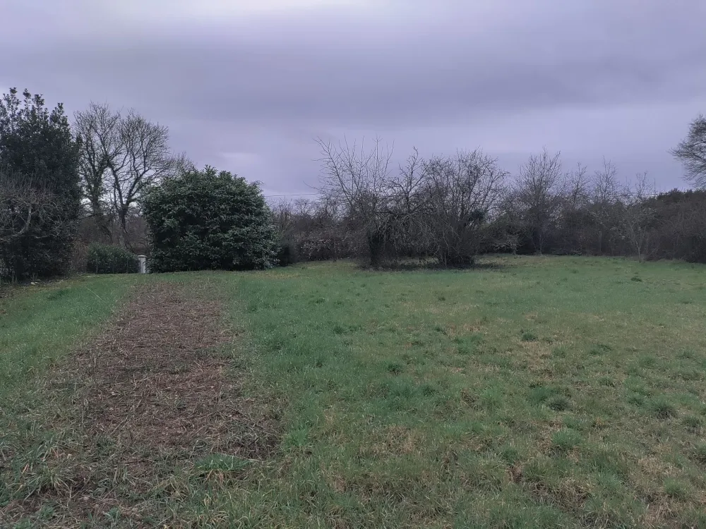 Image du modèle de maison 1000022002