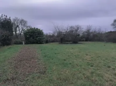 Image du modèle de maison 1000022002