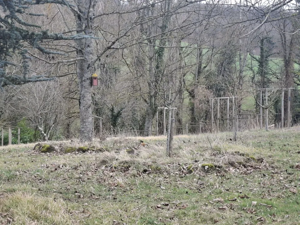 Image du modèle de maison 20260217_142127