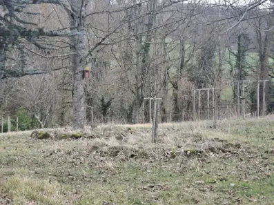 Image du modèle de maison 20260217_142127