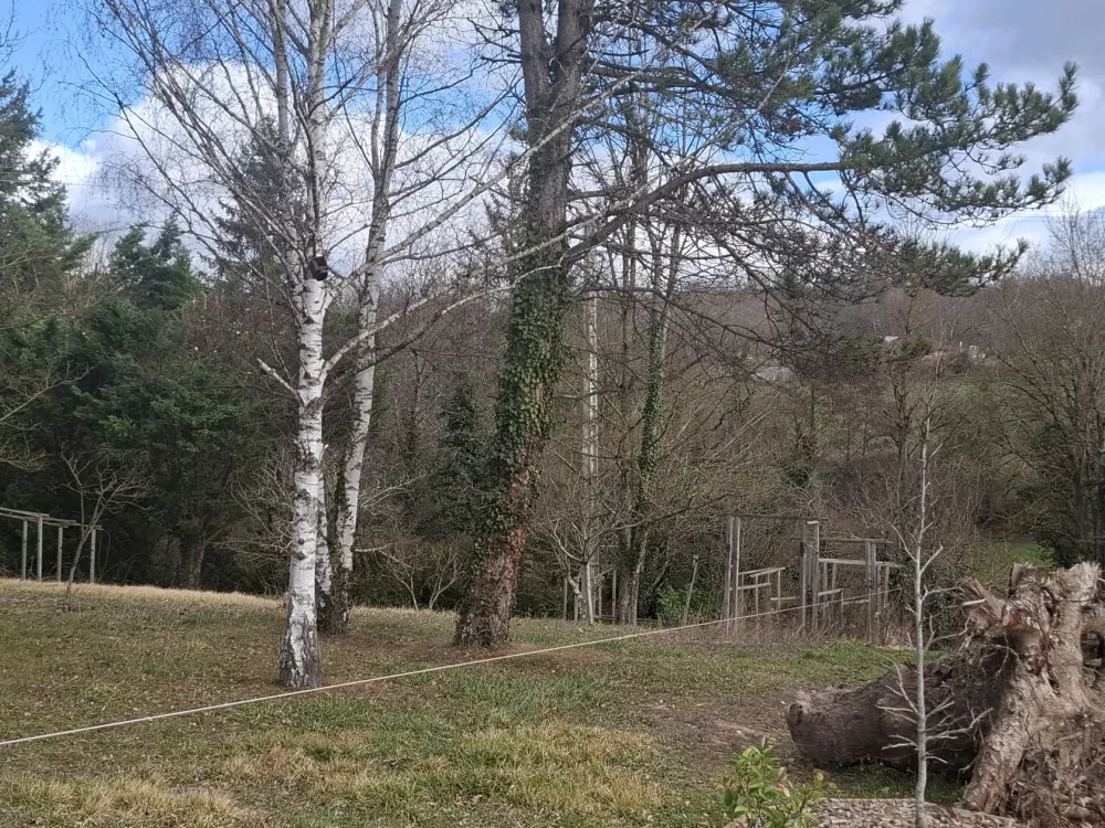 Image du modèle de maison 20260217_142354