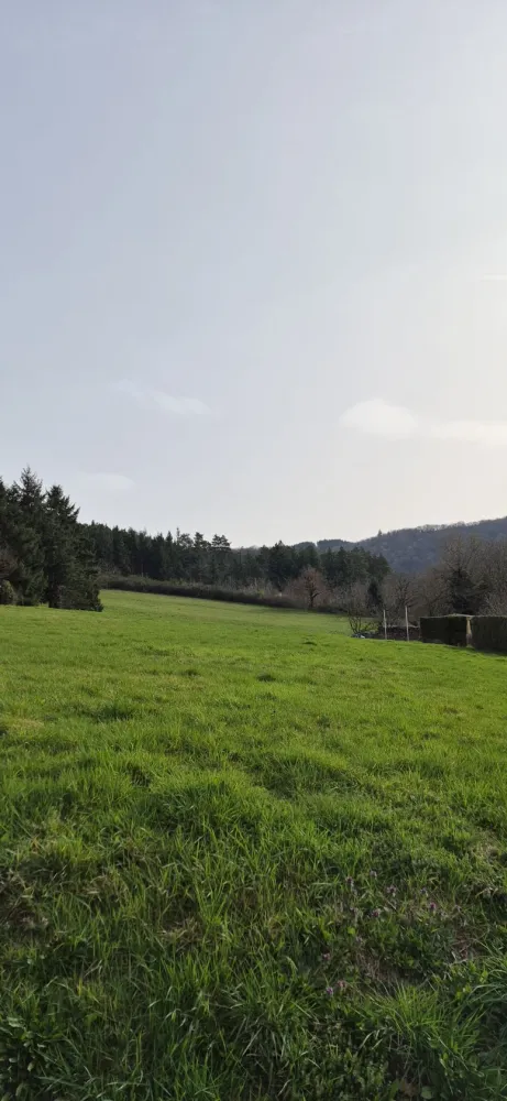 Image du modèle de maison 20260305_102603