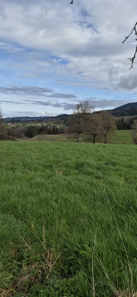 Image du modèle de maison 20260310_103010