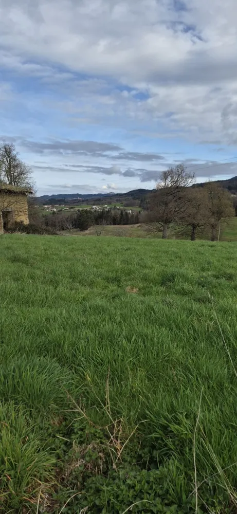 Image du modèle de maison 20260310_103008