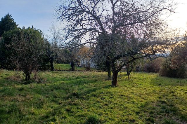 Image du terrain Terrain à bâtir de 1200 m² à THIERS (63)