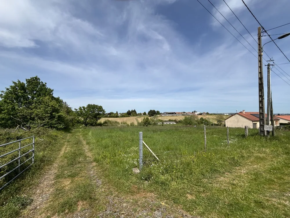 Image du terrain Terrain à bâtir de 1481 m² à SAINT-REMY-EN-ROLLAT (03)