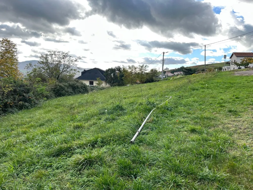 Image du terrain Terrain à bâtir de 518 m² à CELLIEU (42)