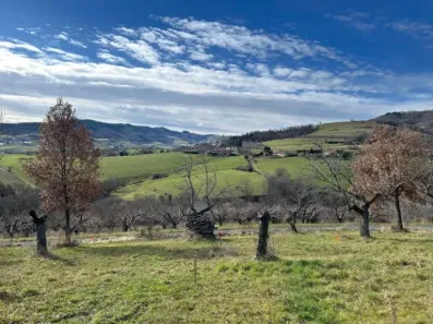 Image du modèle de maison b conflit