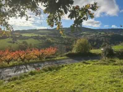 Image du modèle de maison PHOTO PUB 3