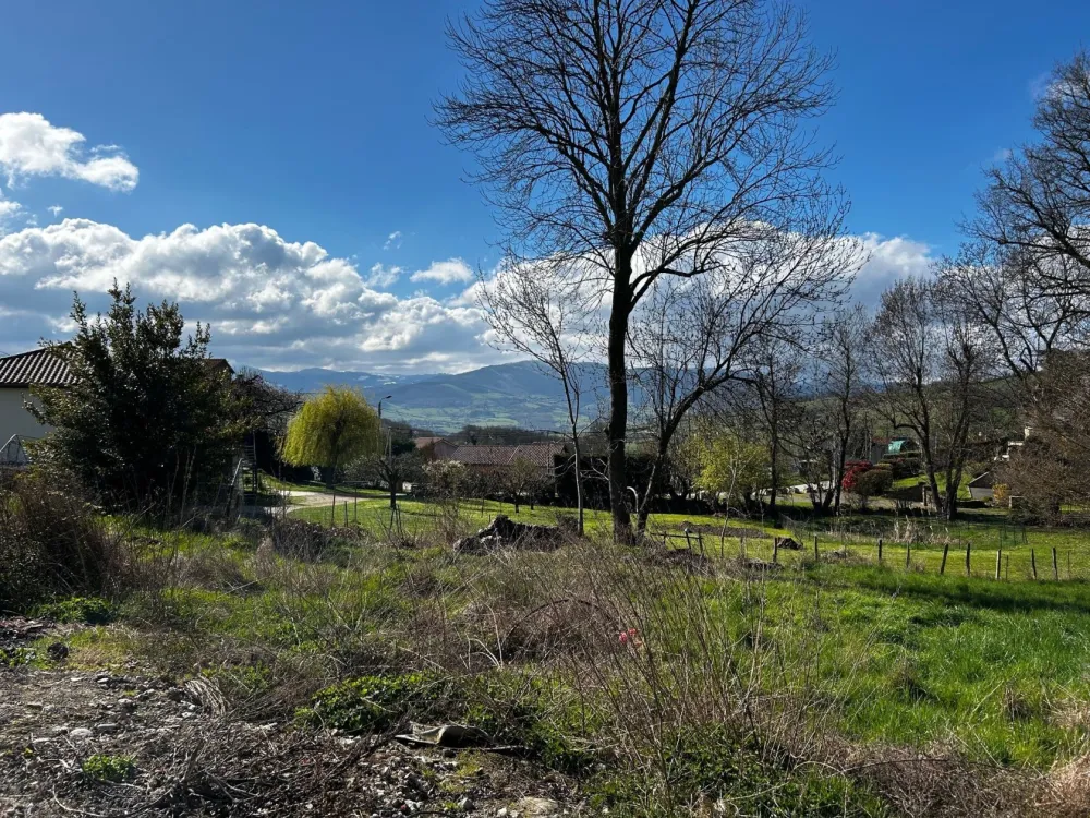 Image du modèle de maison C