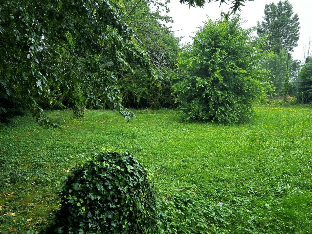 Image du modèle de maison P