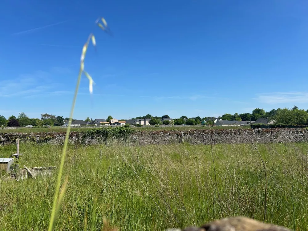 Image du modèle de maison pommeraye