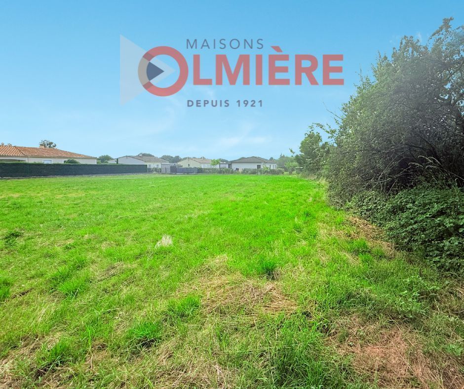 Image du terrain Terrain à bâtir de 1898 m² à VIVIERS-LES-MONTAGNES (81)
