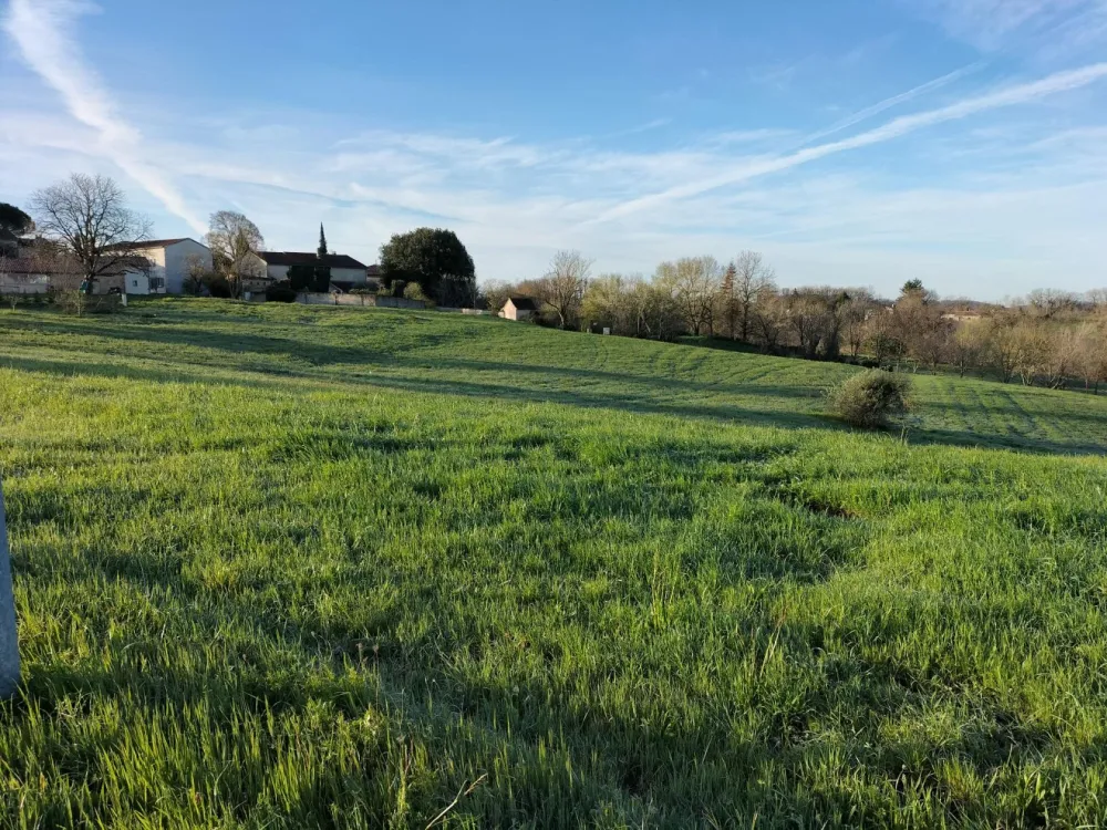 Image du modèle de maison 4