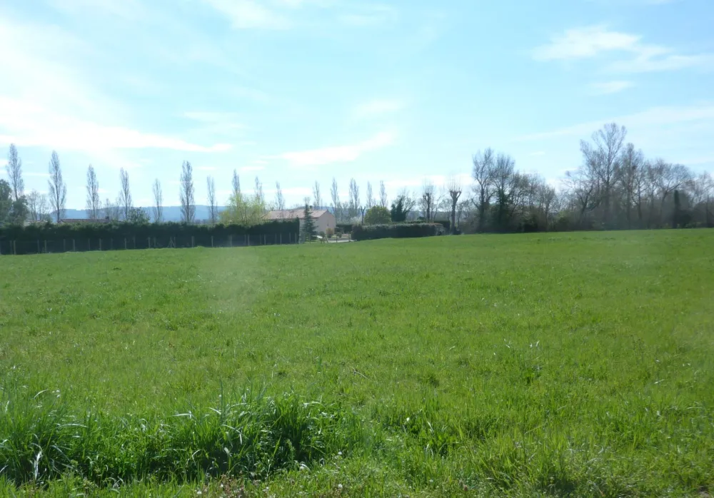 Image du modèle de maison P1040607