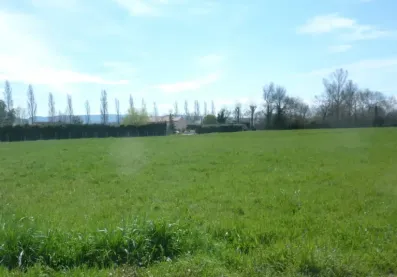 Image du modèle de maison P1040607