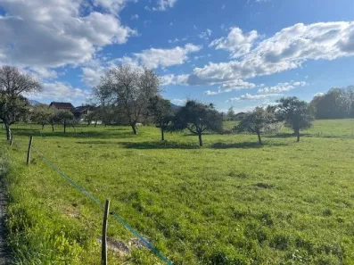 Image du modèle de maison P1