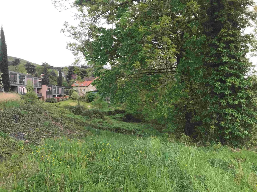 Image du modèle de maison 1