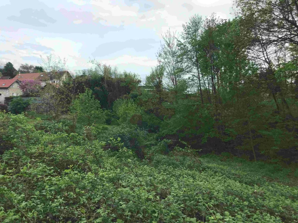 Image du modèle de maison 4