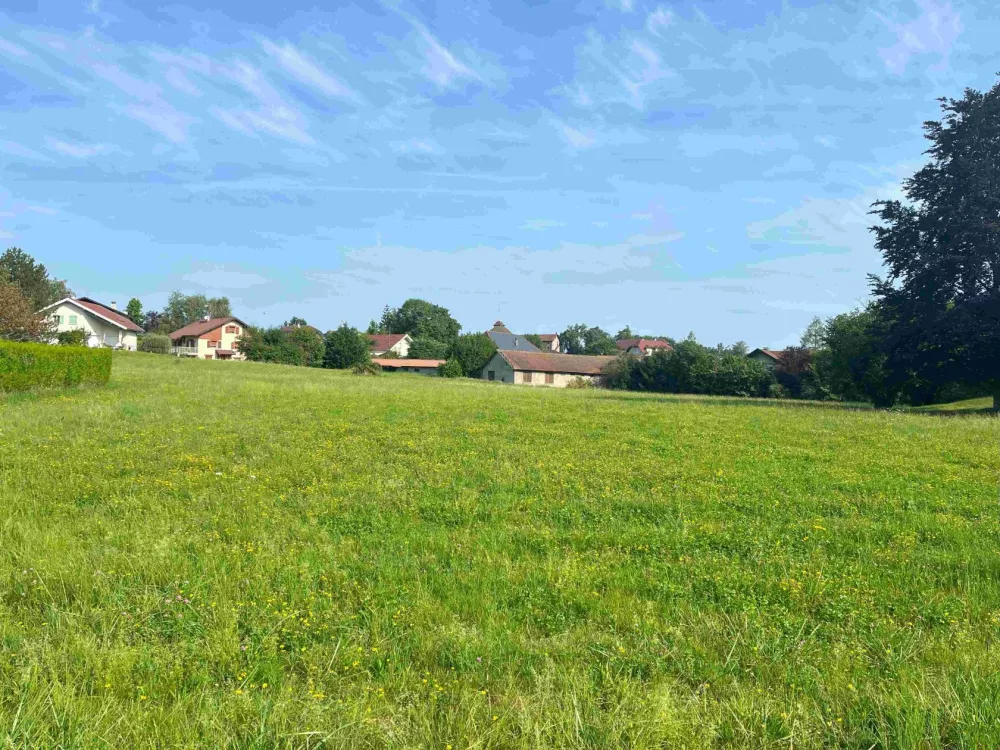 Image du modèle de maison 3