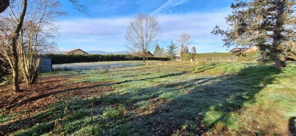 Image du modèle de maison 20241205_100955