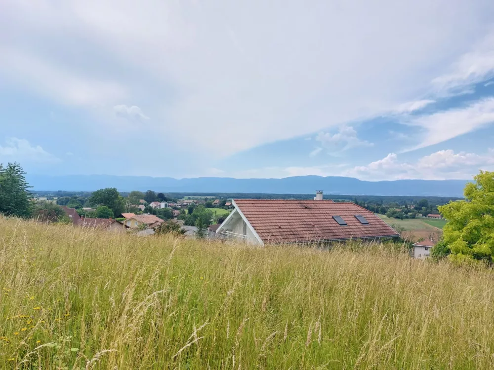 Image du modèle de maison 20240627_161212