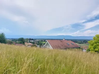 Image du modèle de maison 20240627_161212