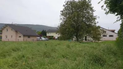 Image du modèle de maison d