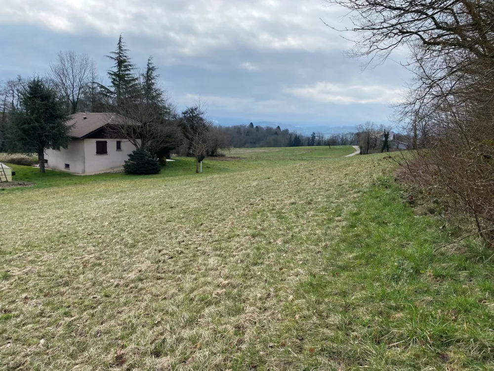 Image du modèle de maison Photo terrain