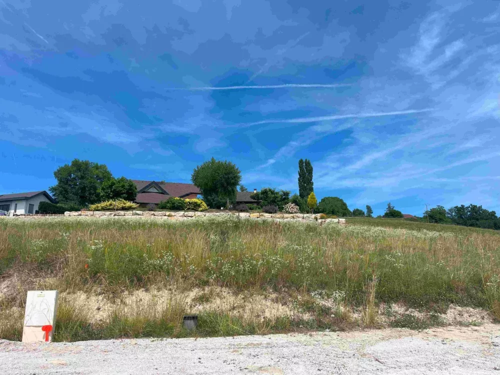 Image du modèle de maison 6