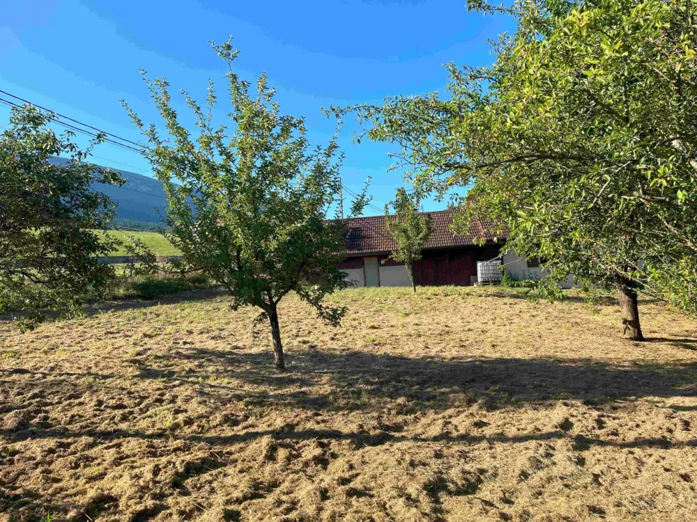 Image du modèle de maison 3