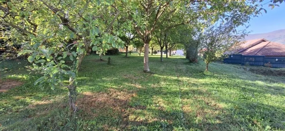 Image du modèle de maison 20250917_093750