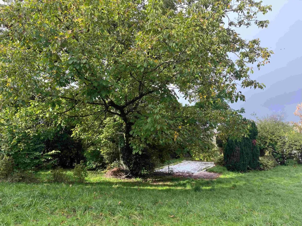 Image du modèle de maison 2