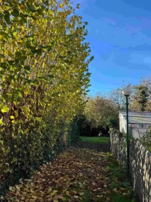 Image du modèle de maison 2