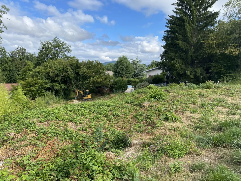 Image du modèle de maison IMG_1542